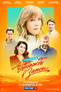 Однажды в Залесье русский сериал